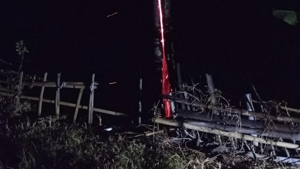 Fenomena Aneh di Kuningan, Pohon Jati Menyala Saat Hujan, Kok Bisa?